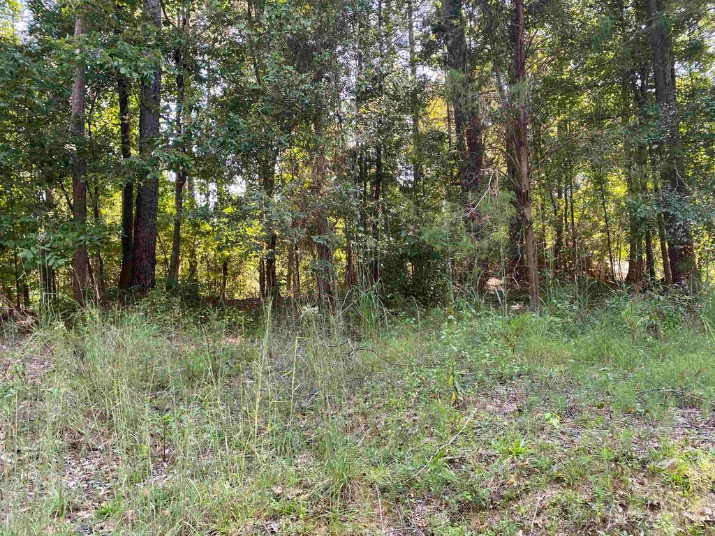 Photo of 0 Lakewood Northeast Way #621, Conyers, GA 30012 (MLS # 20146202)