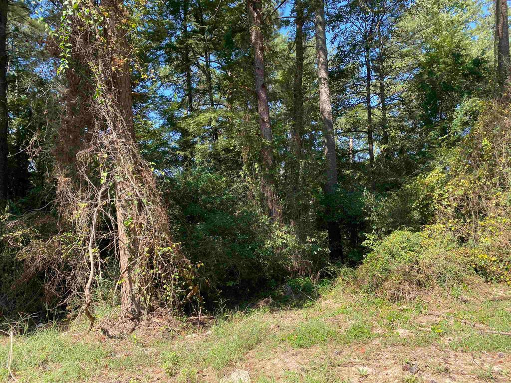 Photo of 0 Lakewood Northeast Way #621, Conyers, GA 30012 (MLS # 20146202)