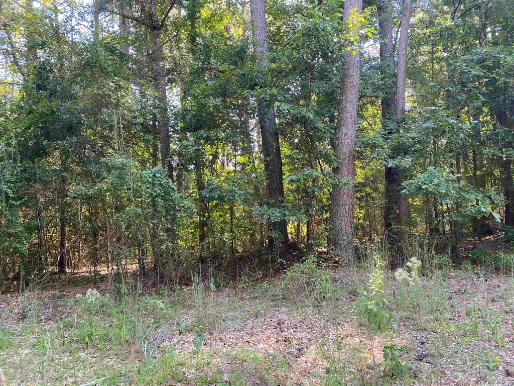 Photo of 0 Lakewood Northeast Way #621, Conyers, GA 30012 (MLS # 20146202)