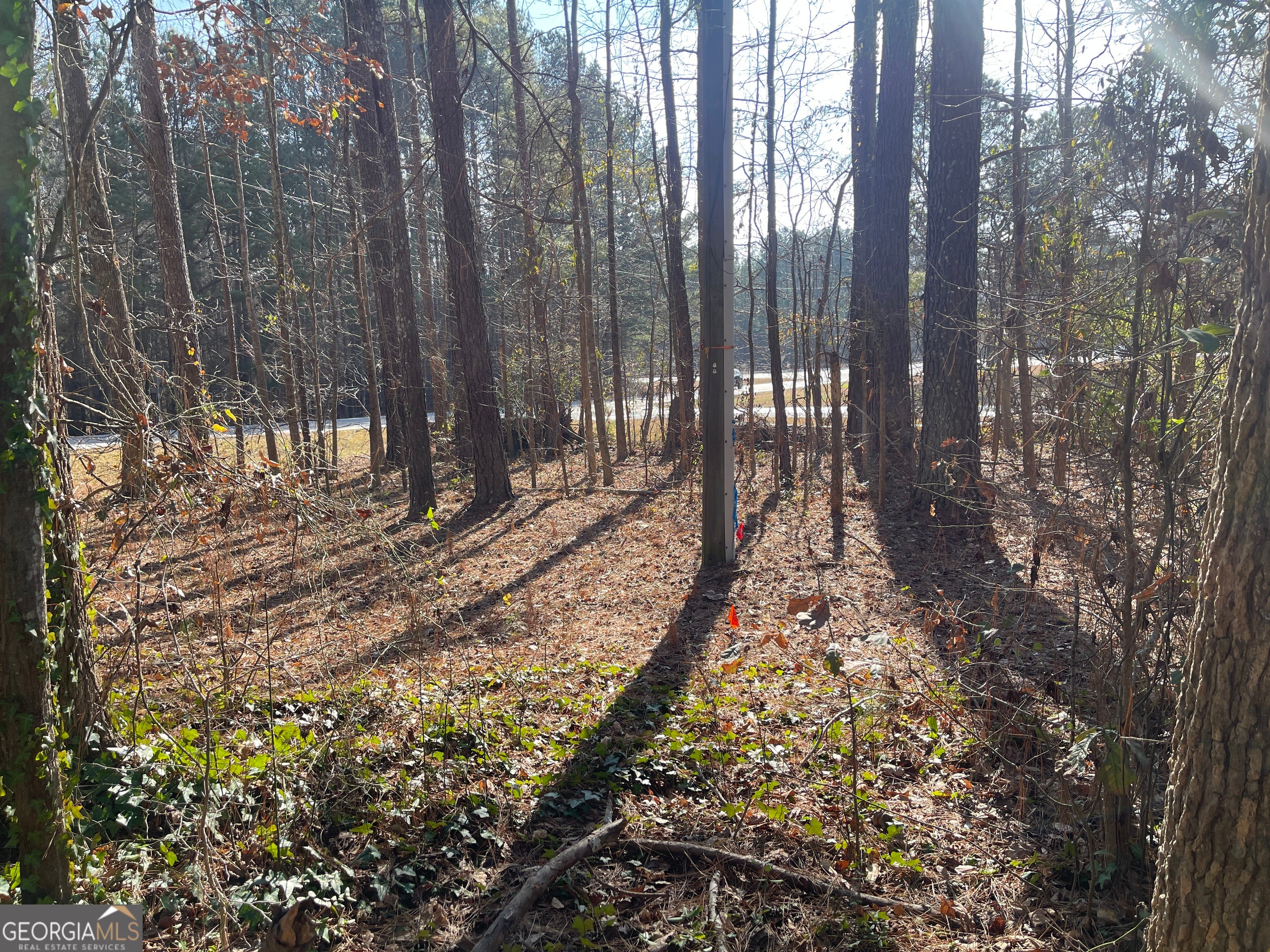 1811 McNutt Creek RD