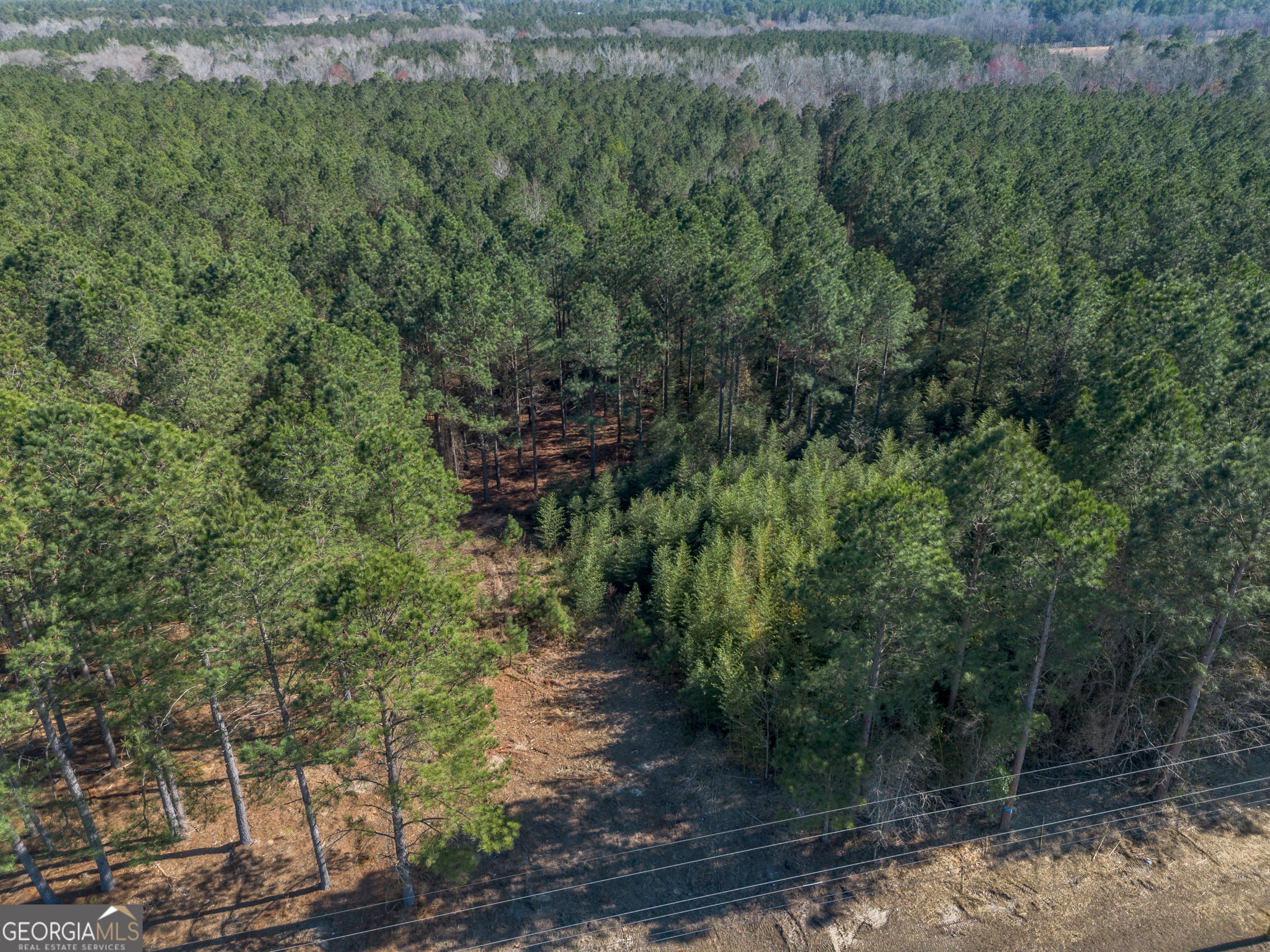 LOT 1 Ben Giddens RD