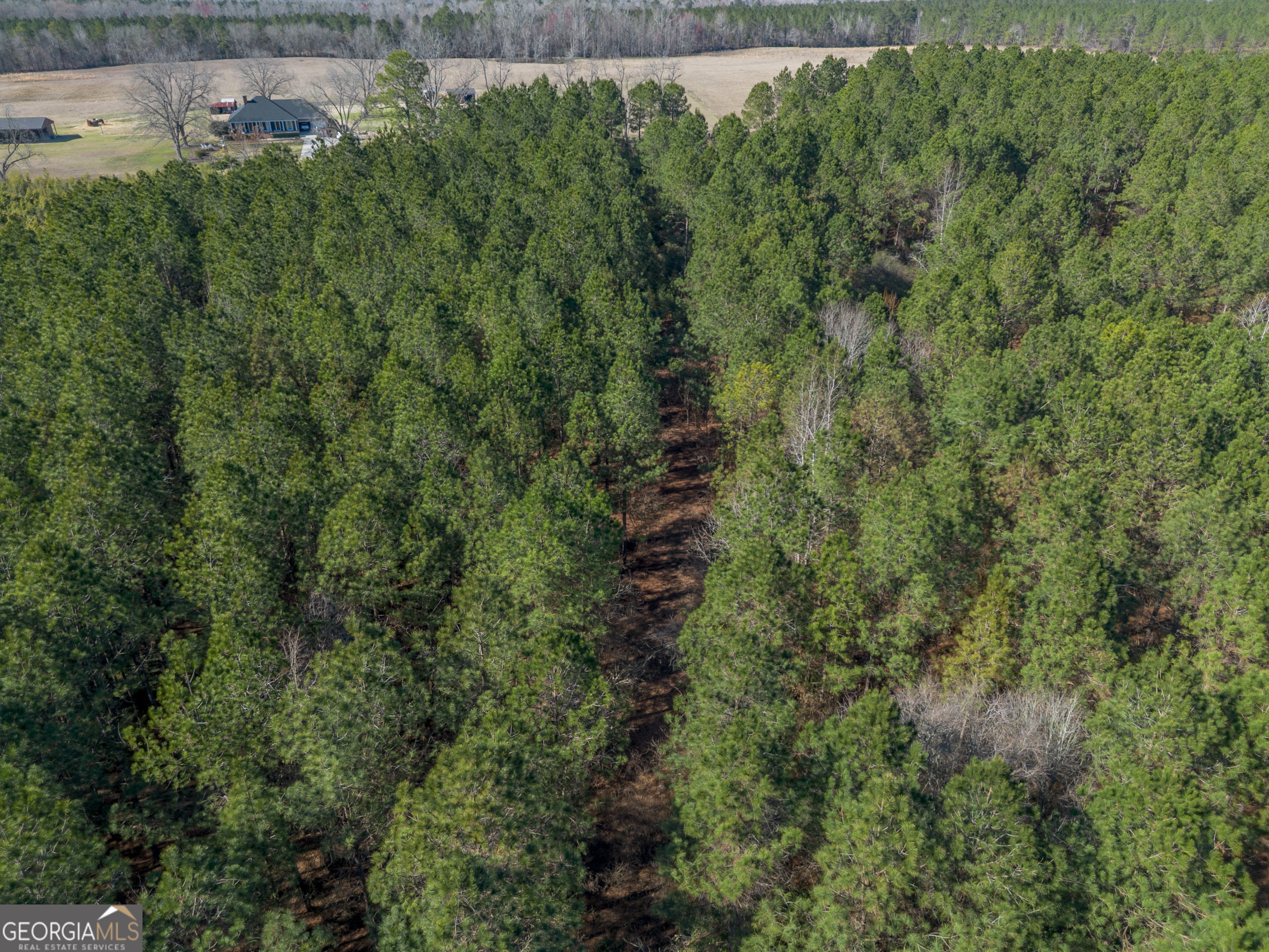 LOT 1 Ben Giddens RD