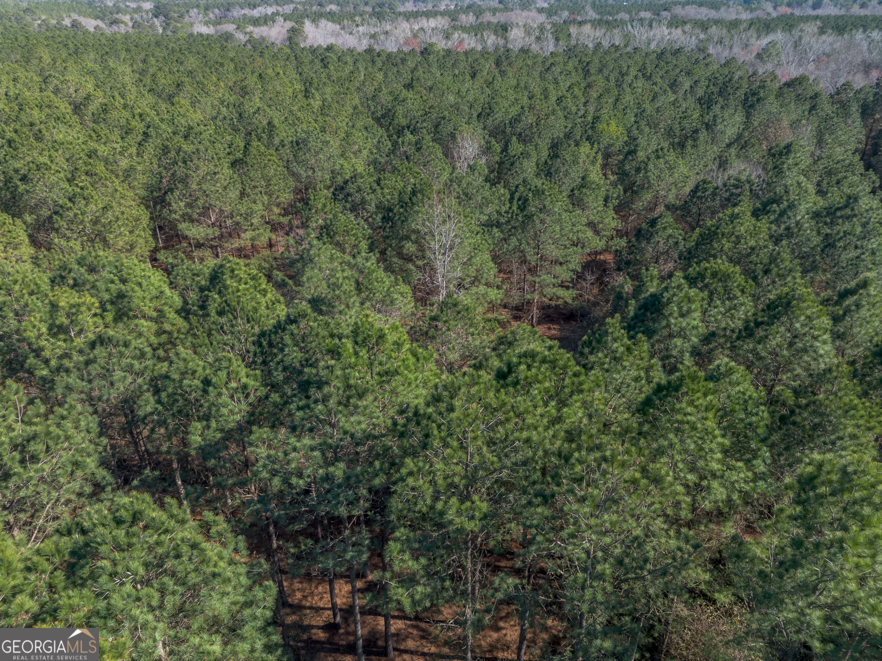 LOT 1 Ben Giddens RD