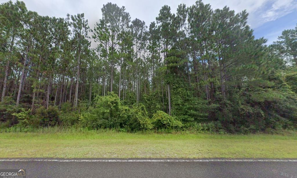 Photo of 100 Oscar Rd, White Oak, GA 31568 (MLS # 10724686)