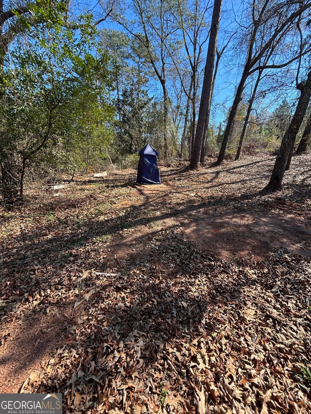 Photo of 9694 Broad Street, Avera, GA 30803 (MLS # 10691533)