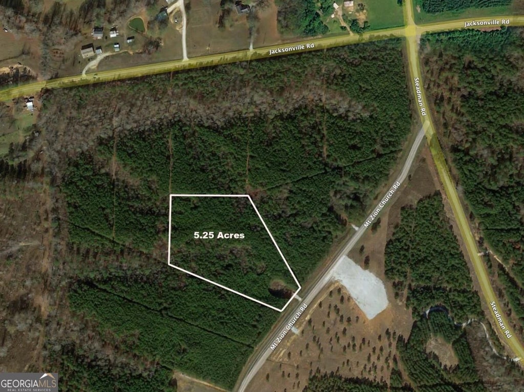 Photo of 0 Mt. Zion Church Road, Tallapoosa, GA 30176 (MLS # 10835948)