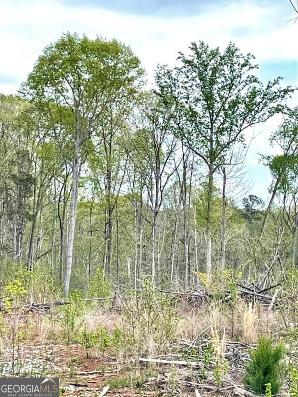 Photo of 0 Fullerton-Phillips Road, Hillsboro, GA 31038 (MLS # 10721780)