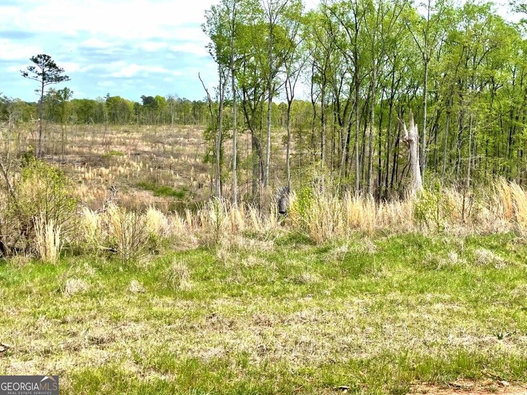 Photo of 0 Fullerton-Phillips Road, Hillsboro, GA 31038 (MLS # 10721780)