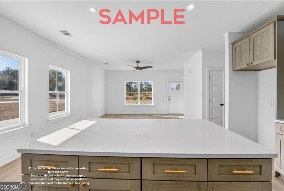 LOT 81 Cassina Garden WAY