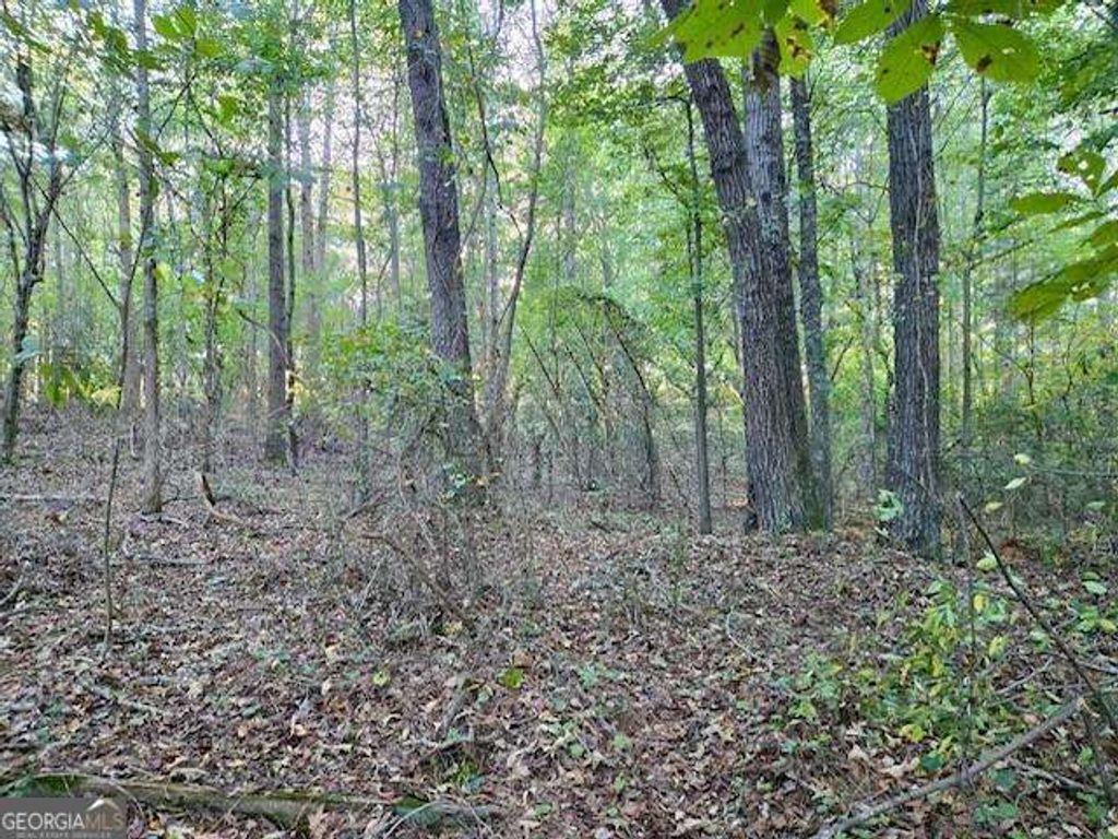 Photo of 0 Hurt Bridge, Lot #1 Road, Cumming, GA 30028 (MLS # 10637109)
