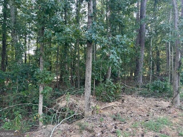 Photo of 430 Winged Foot Drive, McDonough, GA 30253 (MLS # 10846507)