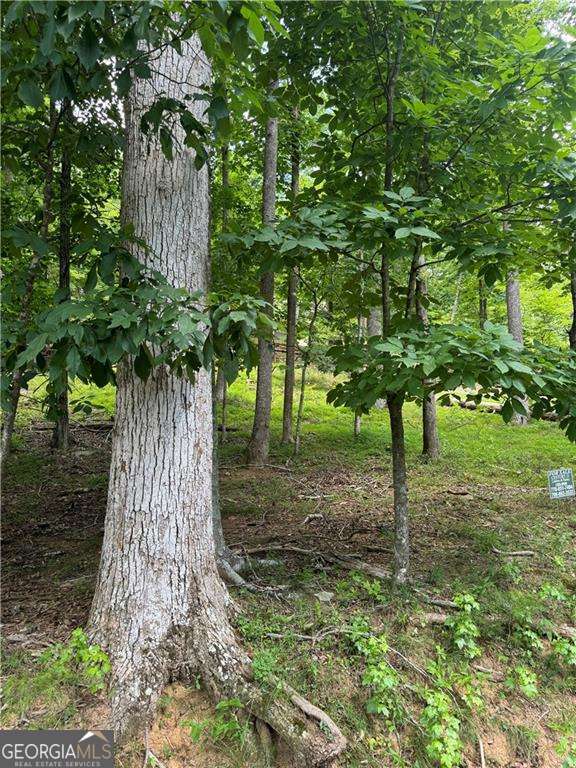 Welcome to your dream home site in the prestigious Bent Tree Community! This lot offers an opportunity to build your custom home amidst serene surroundings and located near the front gate! Nestled within over 3,500 acres of resort-style living, this lot boasts stunning wooded views and direct access to the meticulously maintained golf course. Imagine stepping out your door and enjoying a leisurely walk on the greens whenever you desire.Bent Tree is more than just a neighborhood; it's a lifestyle. Indulge in the numerous amenities this community has to offer. 18-Hole Golf Course: Perfect your swing on the championship course that winds through the picturesque mountainside.You will enjoy fishing in the well-stocked Lake Tamarack or embarking on a peaceful kayaking adventure. Horse enthusiasts will appreciate the on-site stables, pastures, and riding arena. It is easy to stay active with pickleball, tennis, and swimming facilities just around the corner. Enjoy delicious meals and social gatherings at The 19th Hole restaurant. Don't miss this exceptional chance to build your dream home in a community that combines natural beauty, recreational activities, and modern conveniences. Come take a look at this prime lot and envision the endless possibilities for your new construction home!