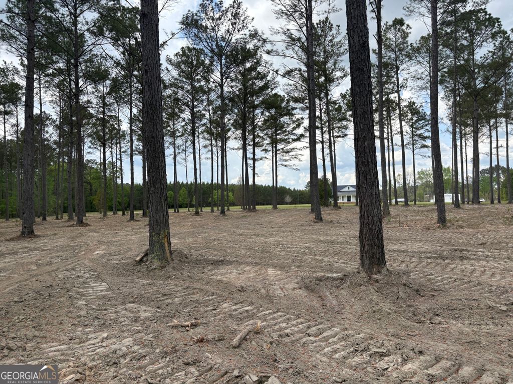 Photo of 2 DC Hardie Road, Gordon, GA 31031 (MLS # 10742187)