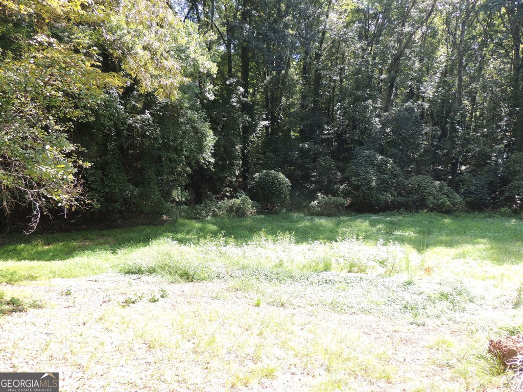 Photo of 0 Handley Avenue S, Atlanta, GA 30310 (MLS # 10857266)