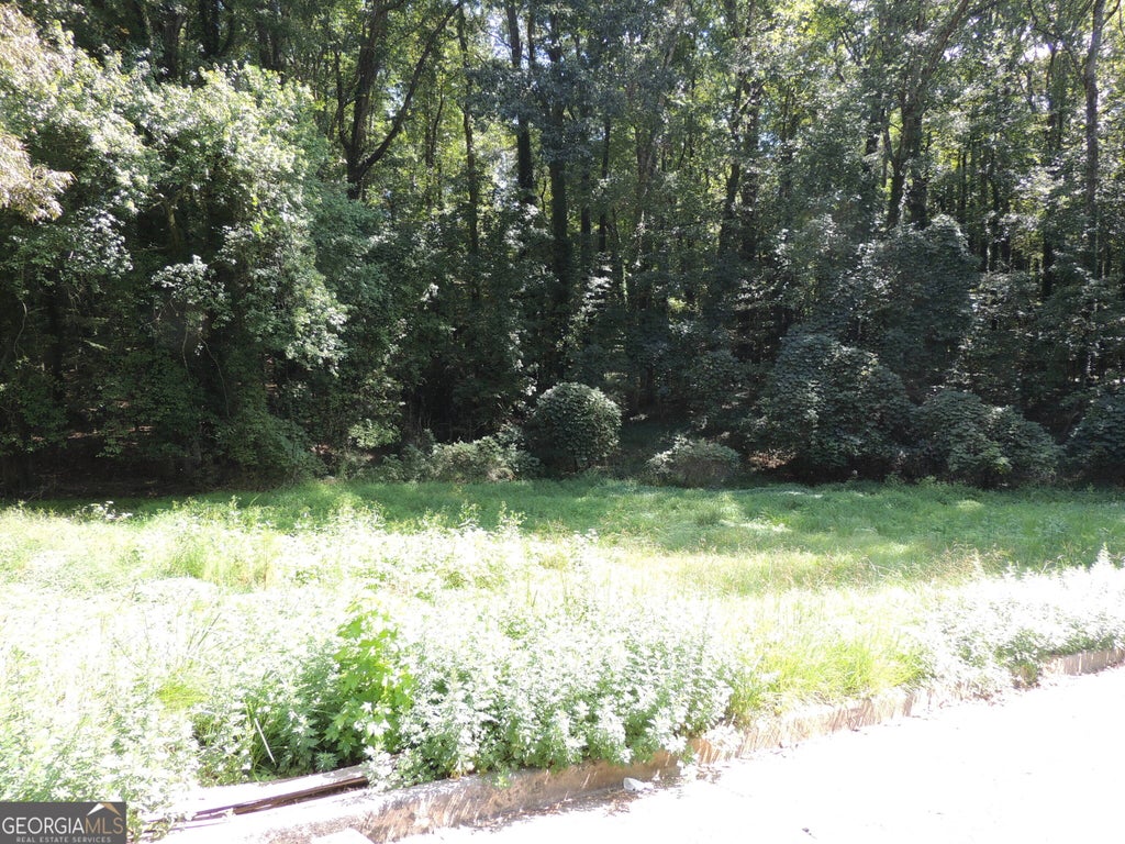 Photo of 0 Handley Avenue S, Atlanta, GA 30310 (MLS # 10857266)
