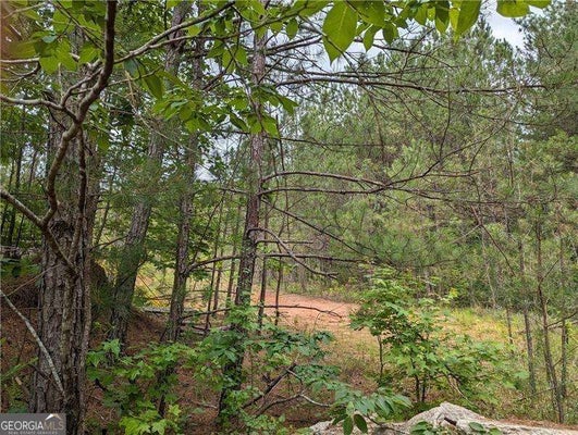 7900 DOWNS RD, WINSTON, GA 30187 - Image ea1f6b7148debac0bc446200dc56fa7d/3399507003