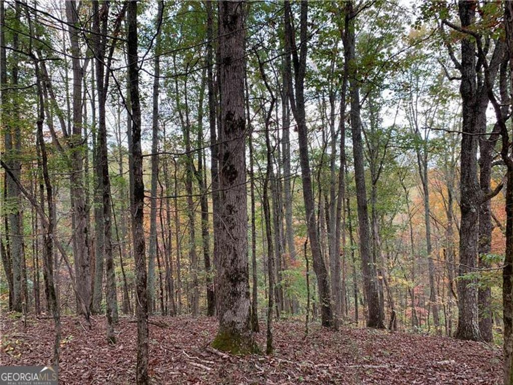 Photo of 128 Adair Drive, Ranger, GA 30734 (MLS # 10673604)