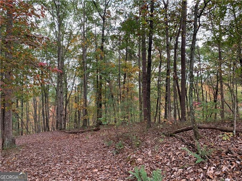 Photo of 128 Adair Drive, Ranger, GA 30734 (MLS # 10673604)