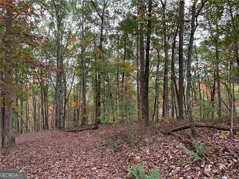 Photo of 128 Adair Drive, Ranger, GA 30734 (MLS # 10673604)