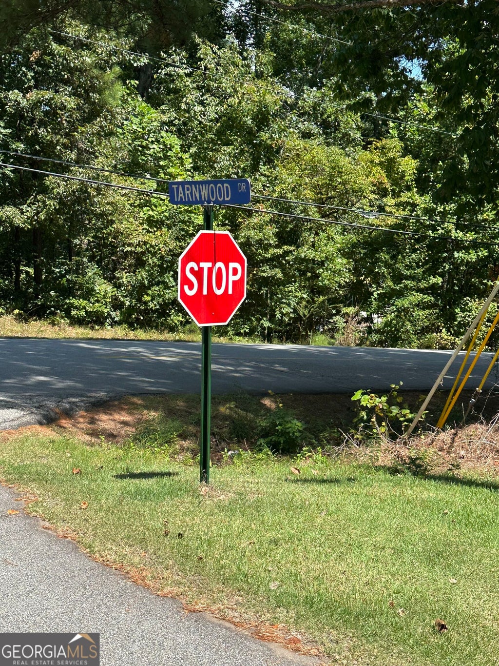 Photo of 9105 Tarnwood Drive, Villa Rica, GA 30180 (MLS # 10837798)