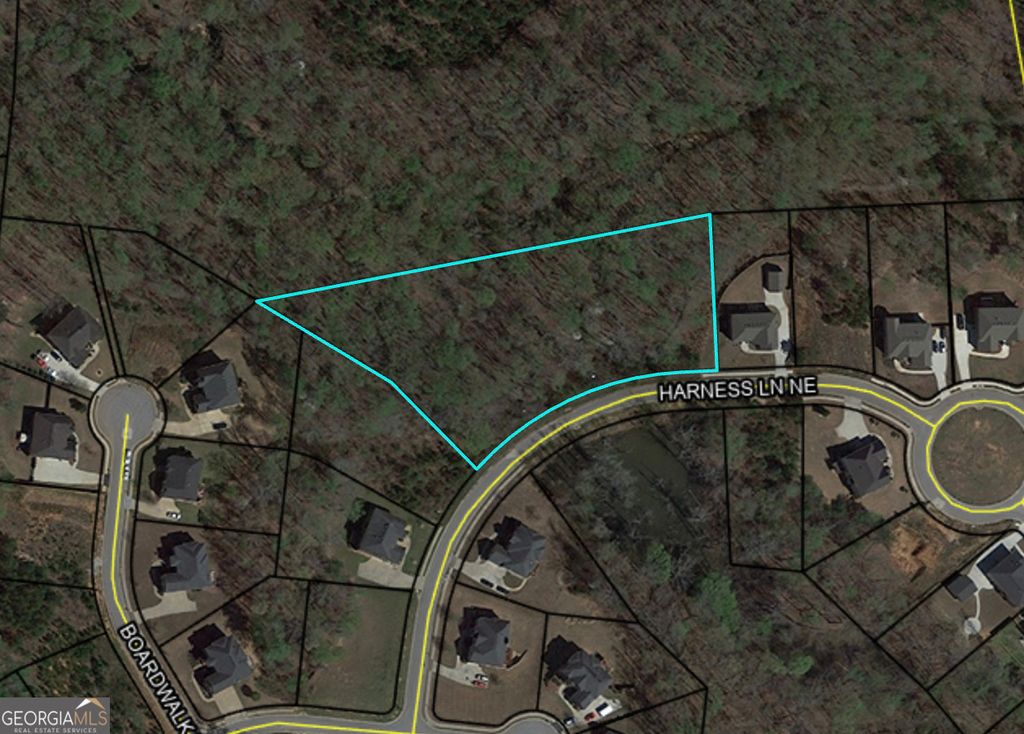 Photo of 2023 NE Harness Lane, Conyers, GA 30013 (MLS # 10767576)