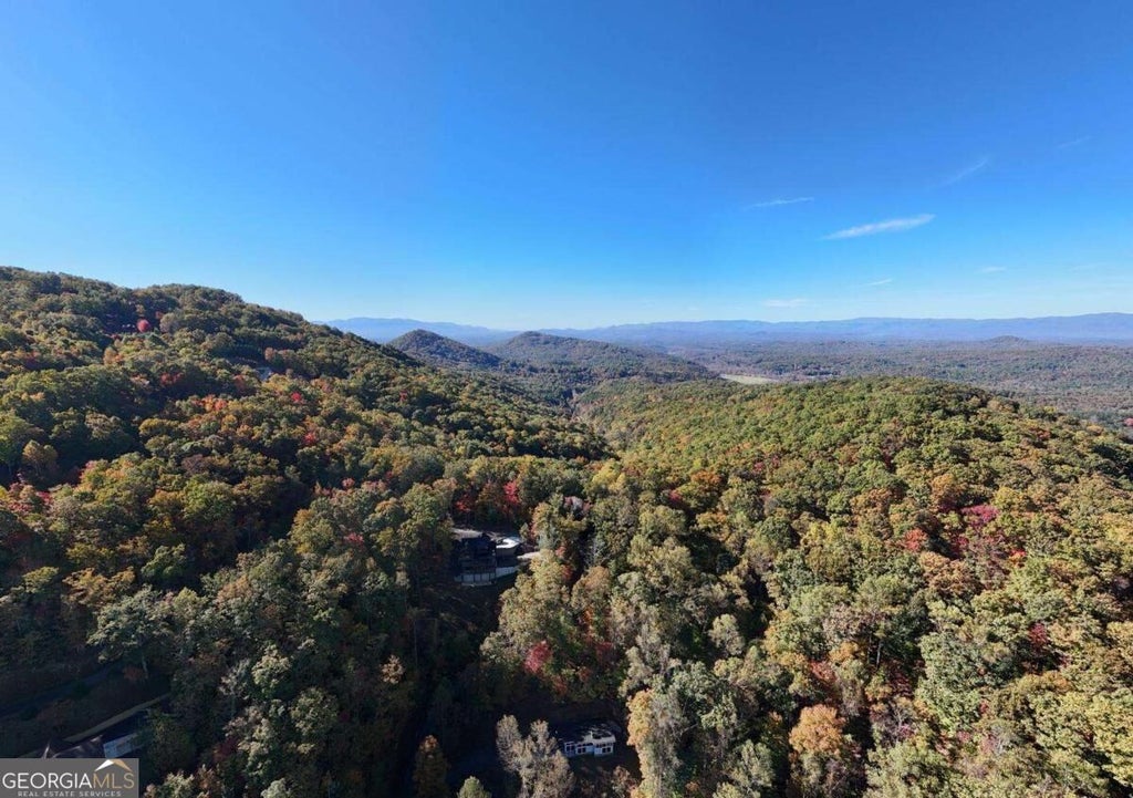 Photo of 0 Reid Ballew Drive, Mineral Bluff, GA 30559 (MLS # 10882552)