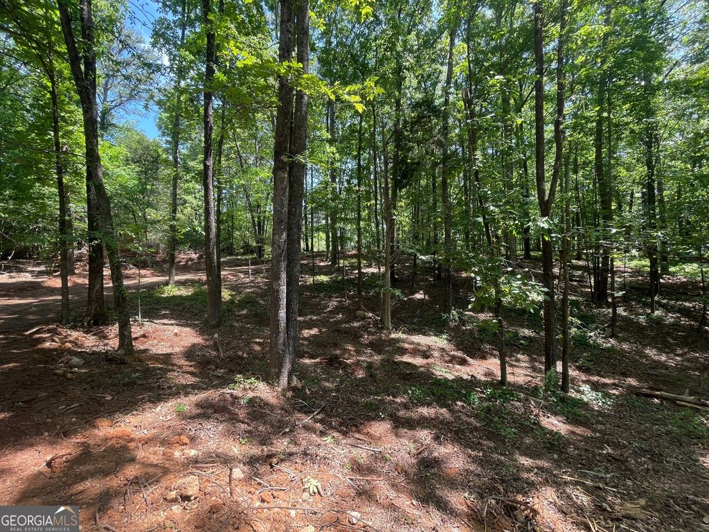 Photo of 13 CHALCREST Way, Cave Spring, GA 30124 (MLS # 10754841)