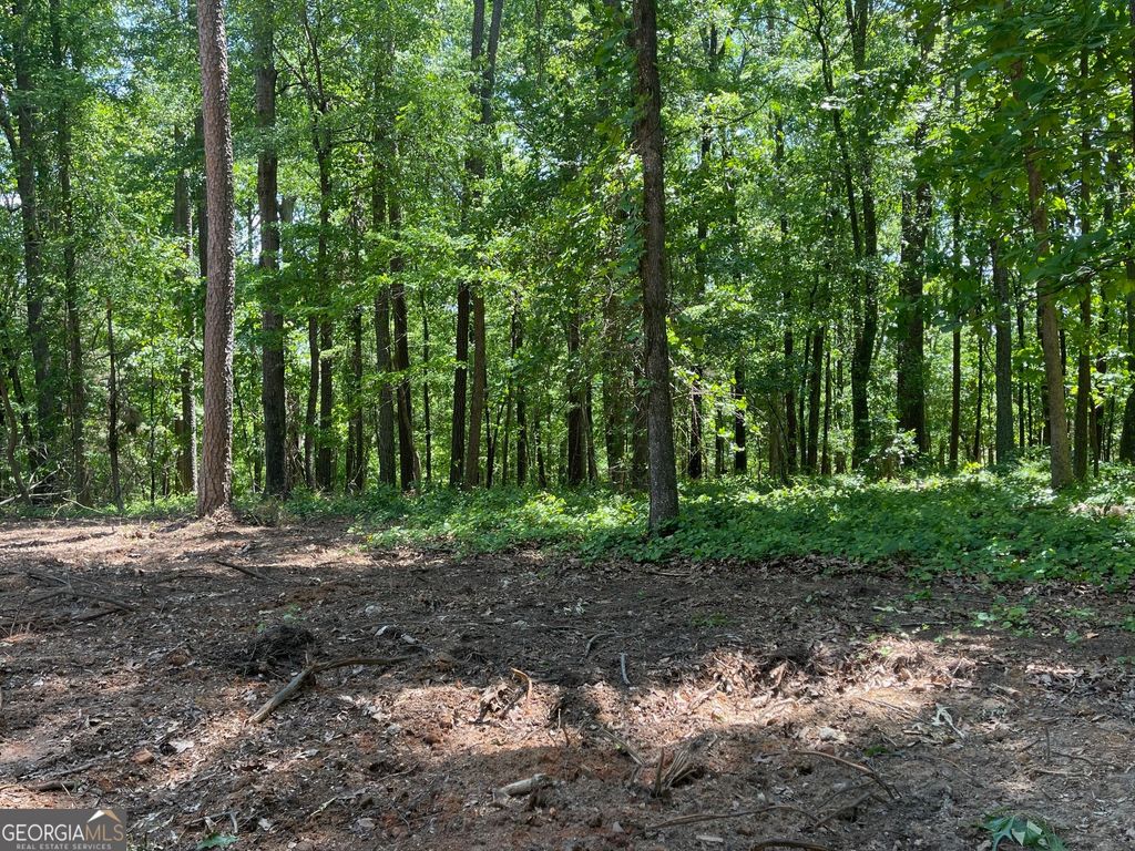 Photo of 13 CHALCREST Way, Cave Spring, GA 30124 (MLS # 10754841)