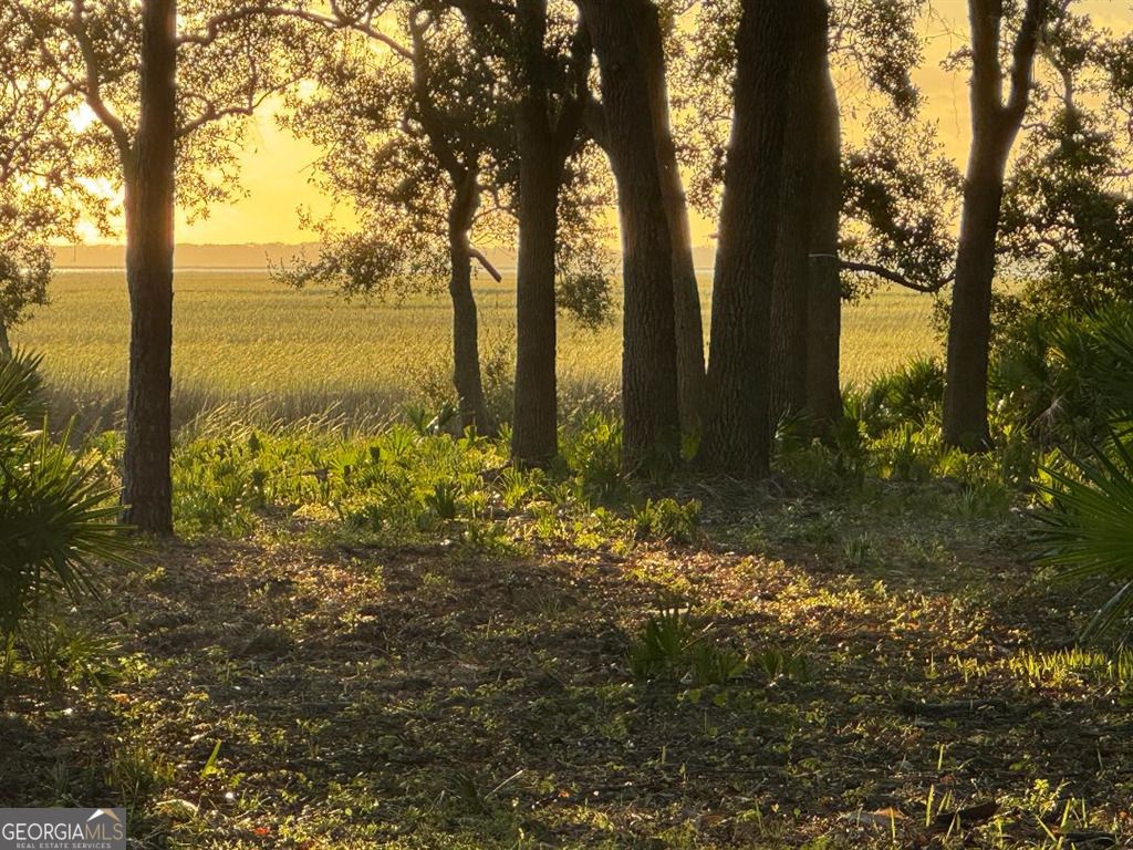 Photo of 206 Charleston Way, St. Marys, GA 31558 (MLS # 10662743)