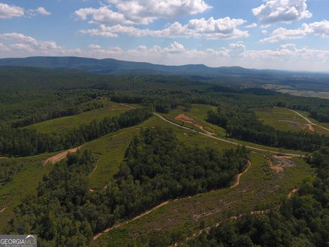 0 Johnson Mountain RD 7401-J Rydal GA 30171