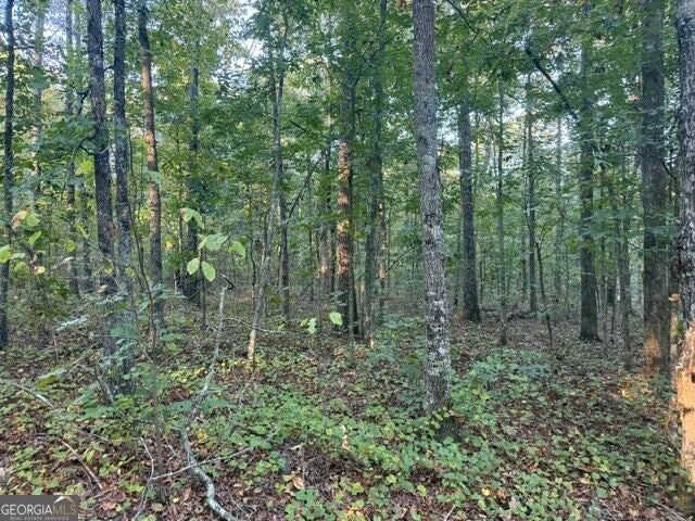 Photo of 0 Owensby Lane, Adairsville, GA 30103 (MLS # 10856893)