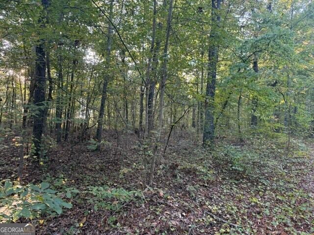 Photo of 0 Owensby Lane, Adairsville, GA 30103 (MLS # 10856893)