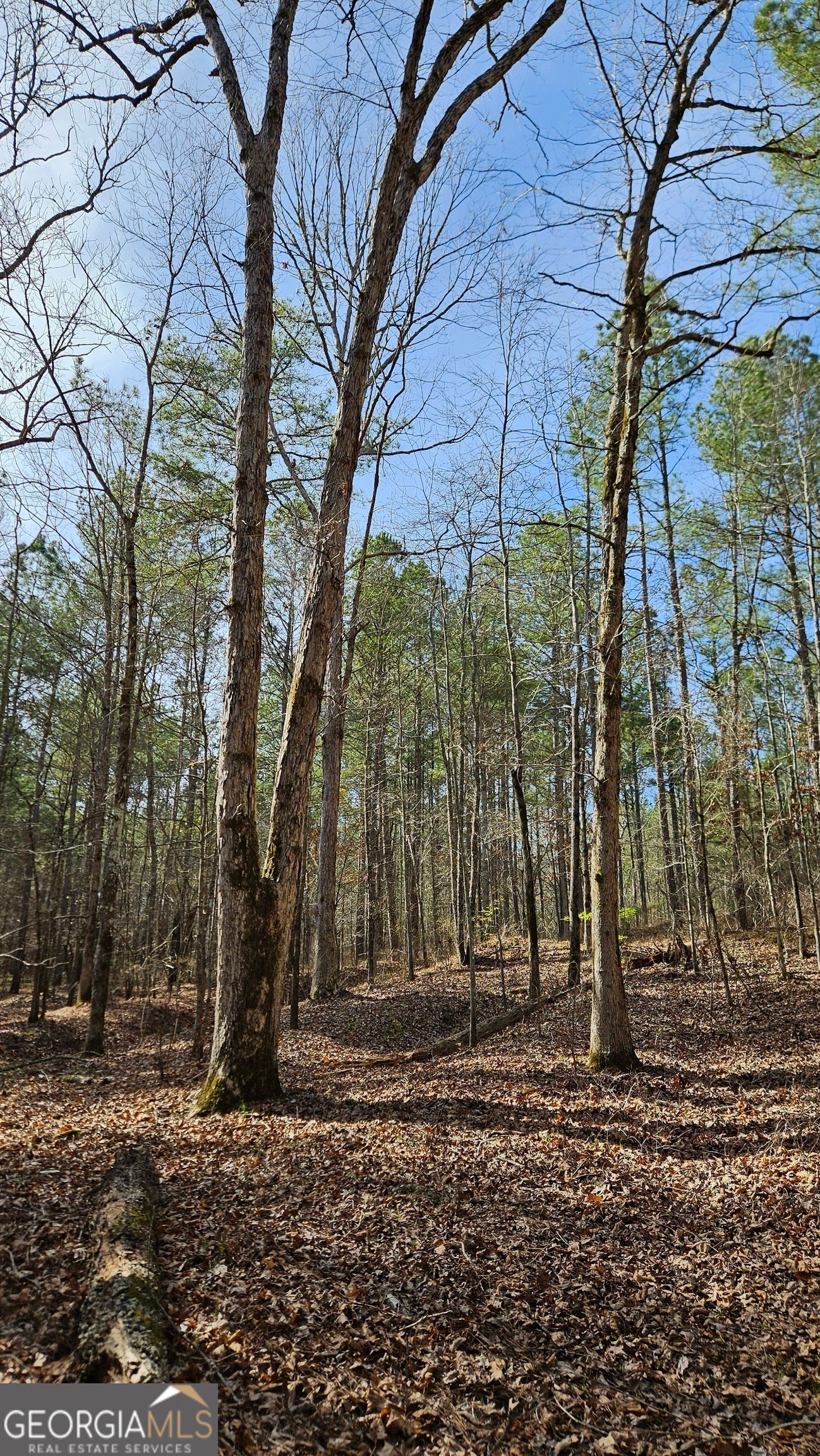 1121 Apalachee Meadows DR