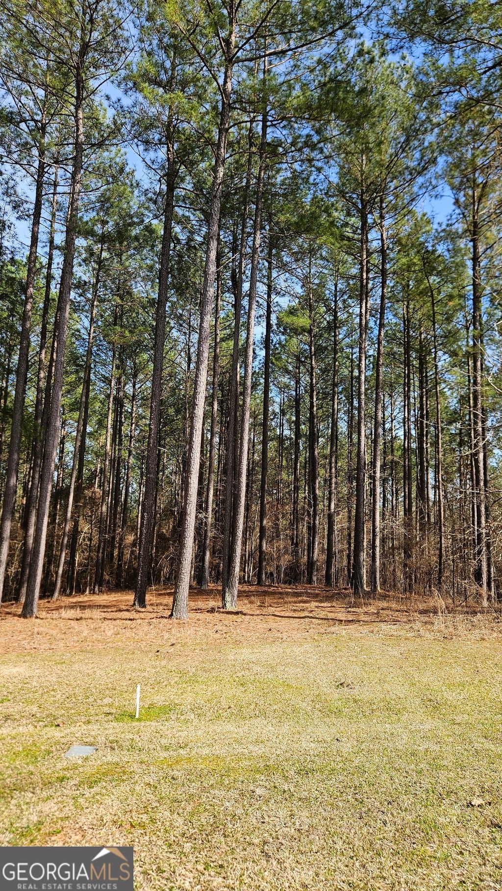 Photo of 1121 Apalachee Meadows Drive, Madison, GA 30650 (MLS # 10849612)