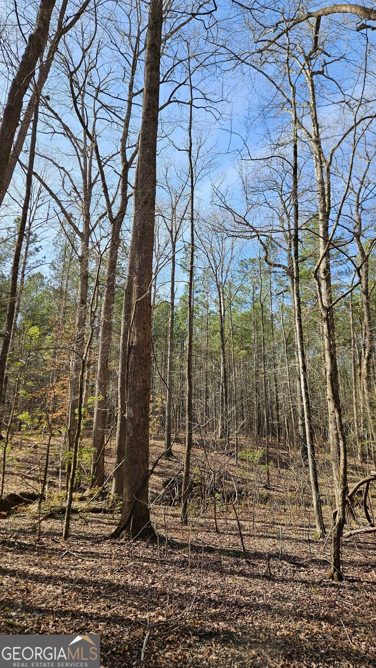1121 Apalachee Meadows DR