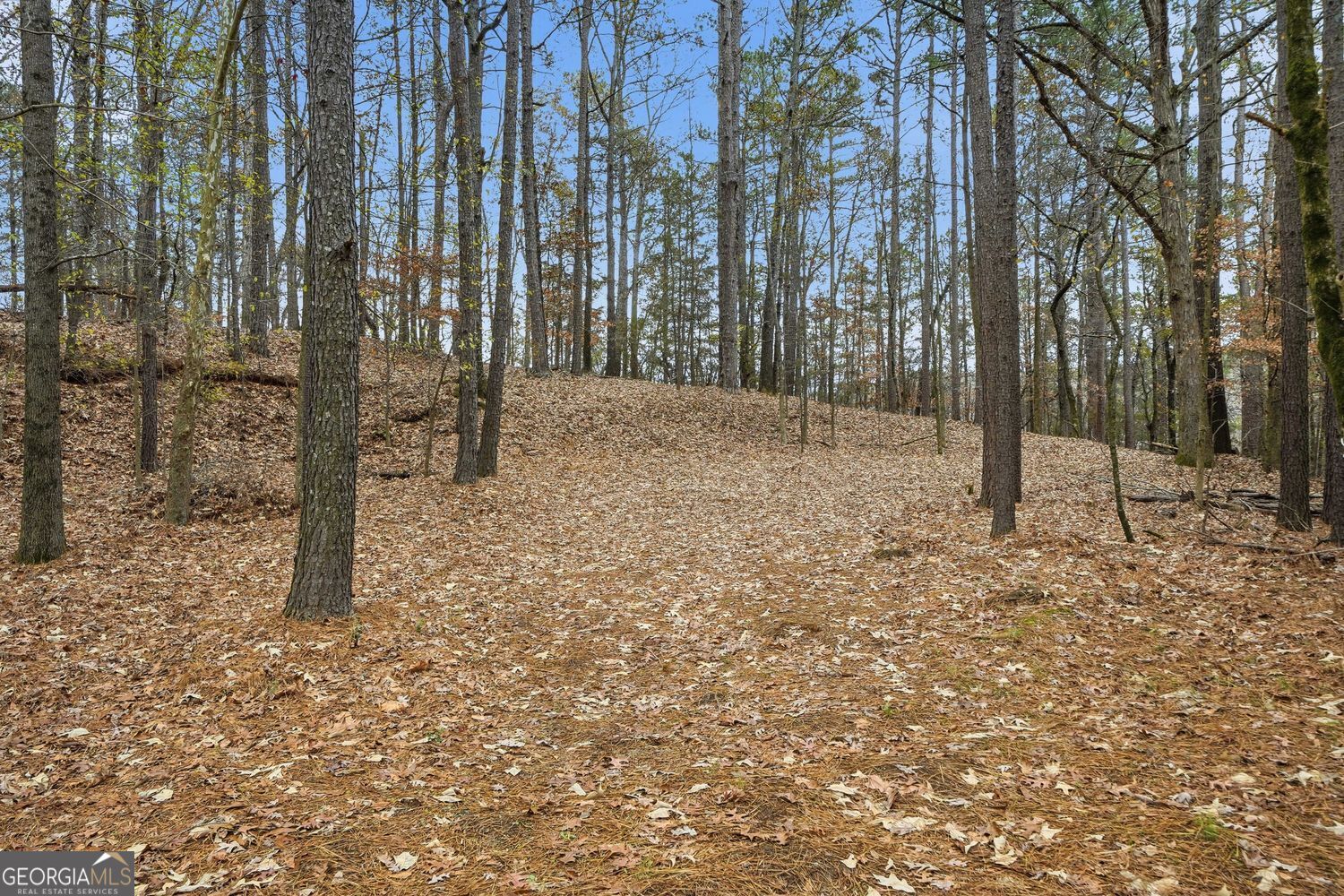 3779 Lawrenceville Suwanee RD