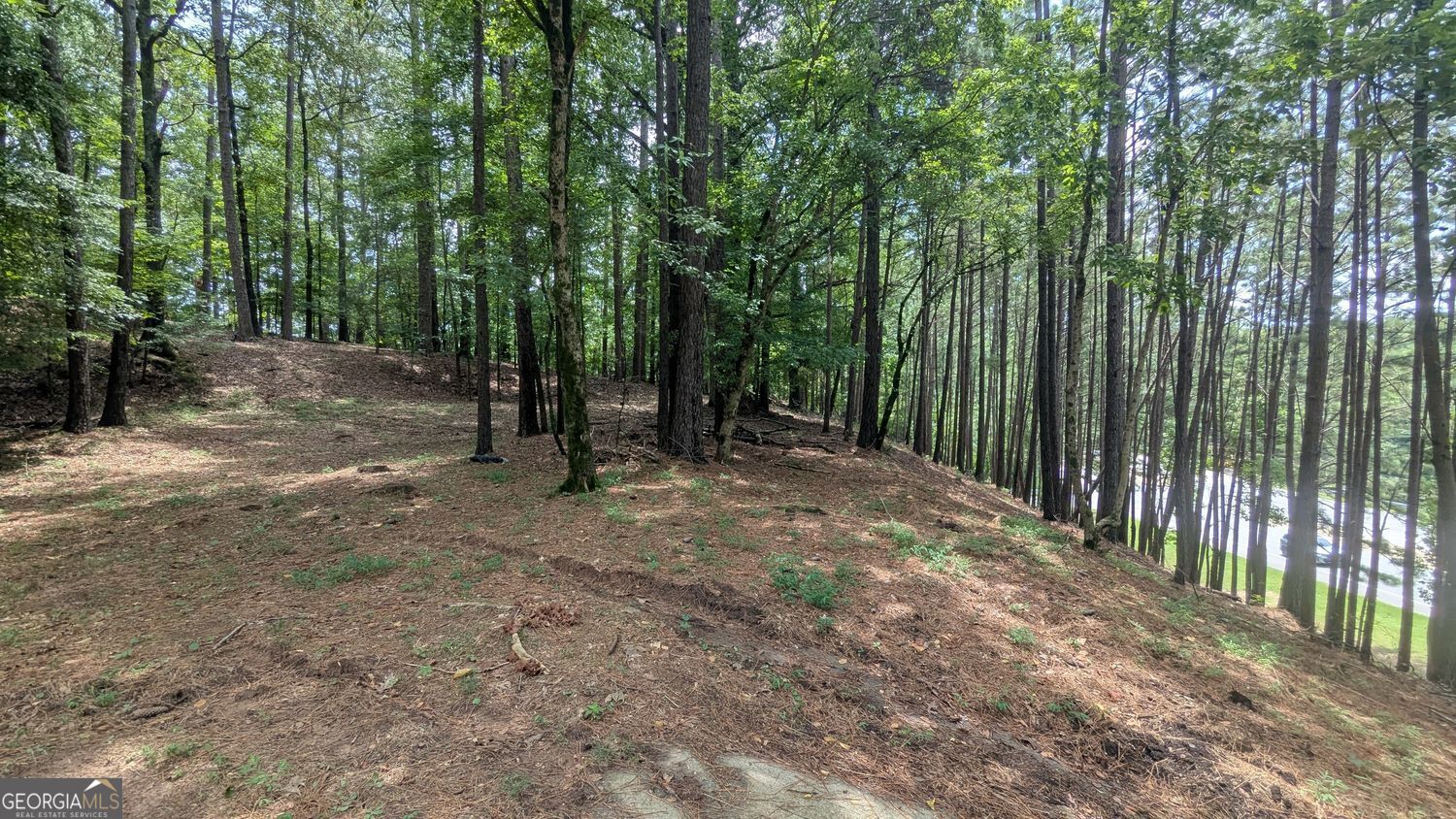 Suwanee, Georgia 30024, United States, ,Land,Active,250256