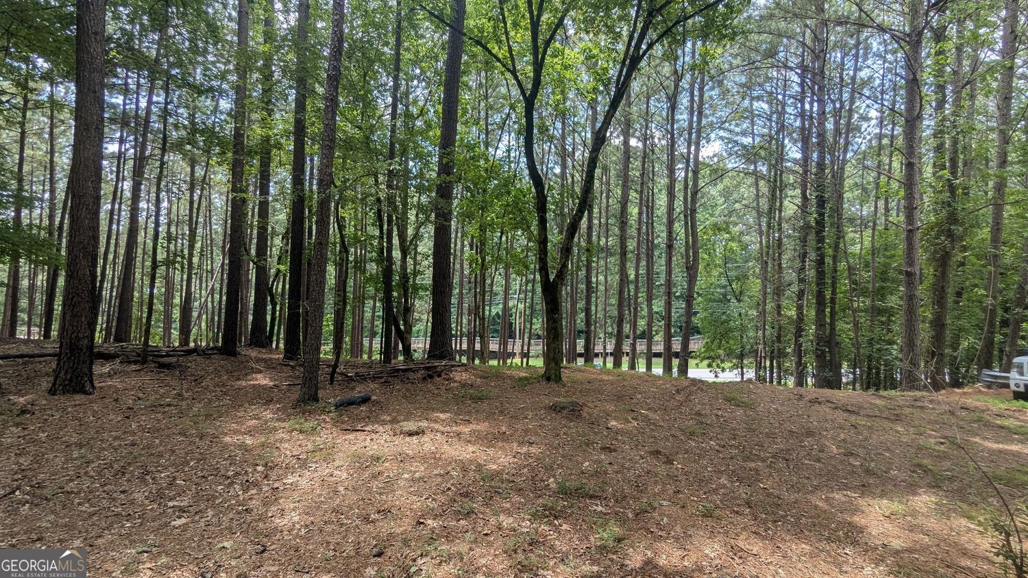 Suwanee, Georgia 30024, United States, ,Land,Active,250256