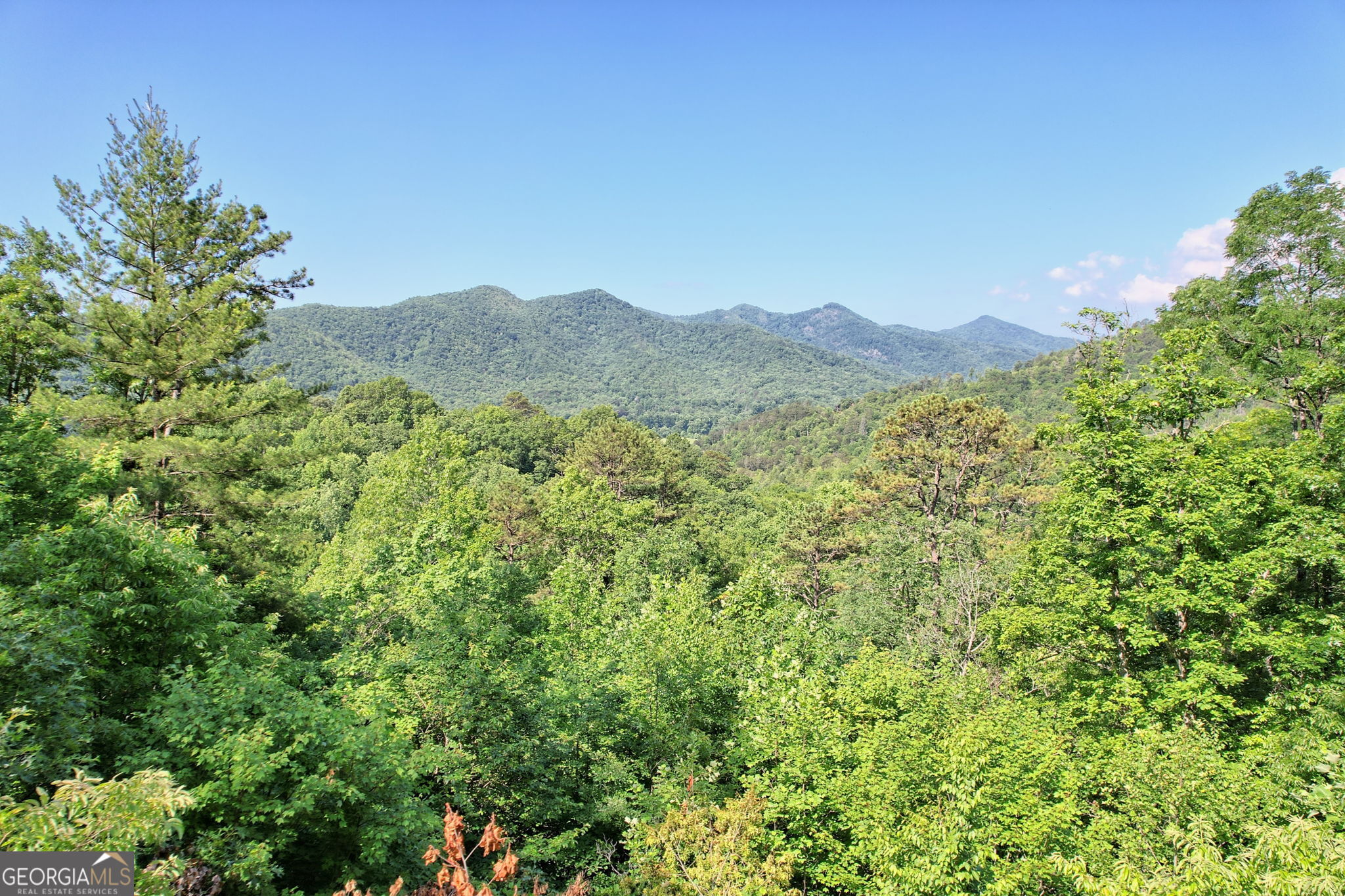 0 Raven Fork Trail