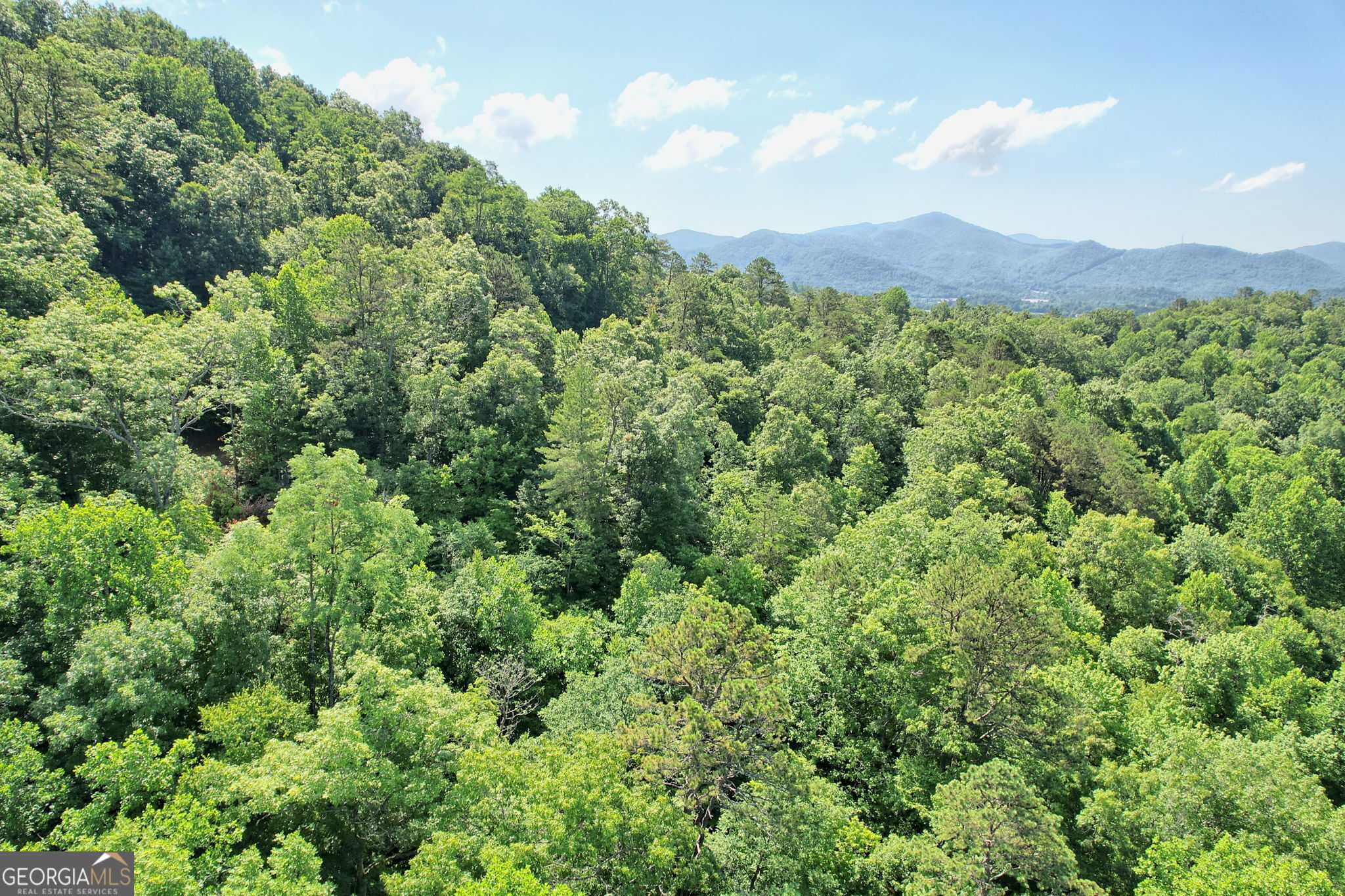 0 Raven Fork Trail