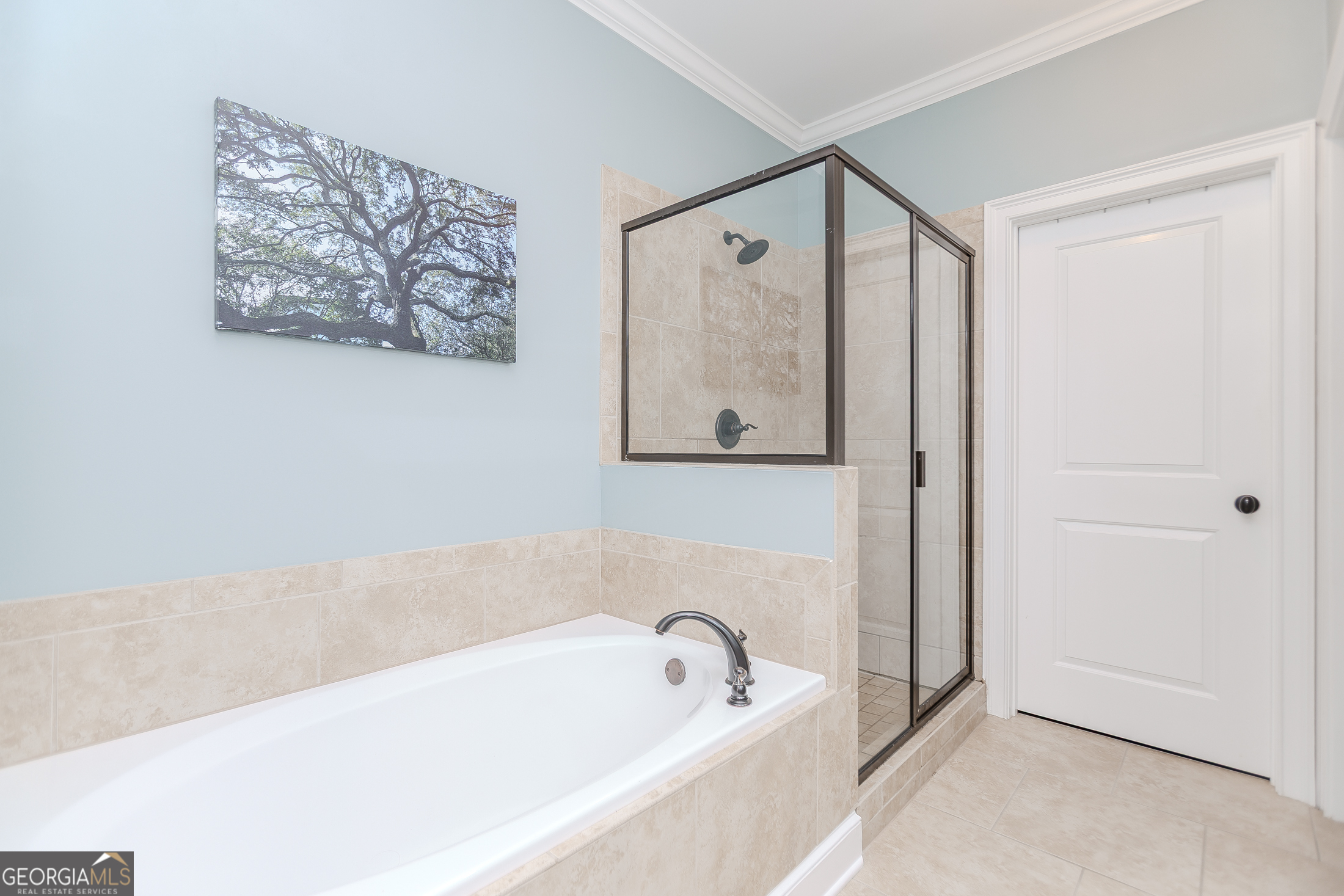 The Preserve at Fisher Mansion - Residential