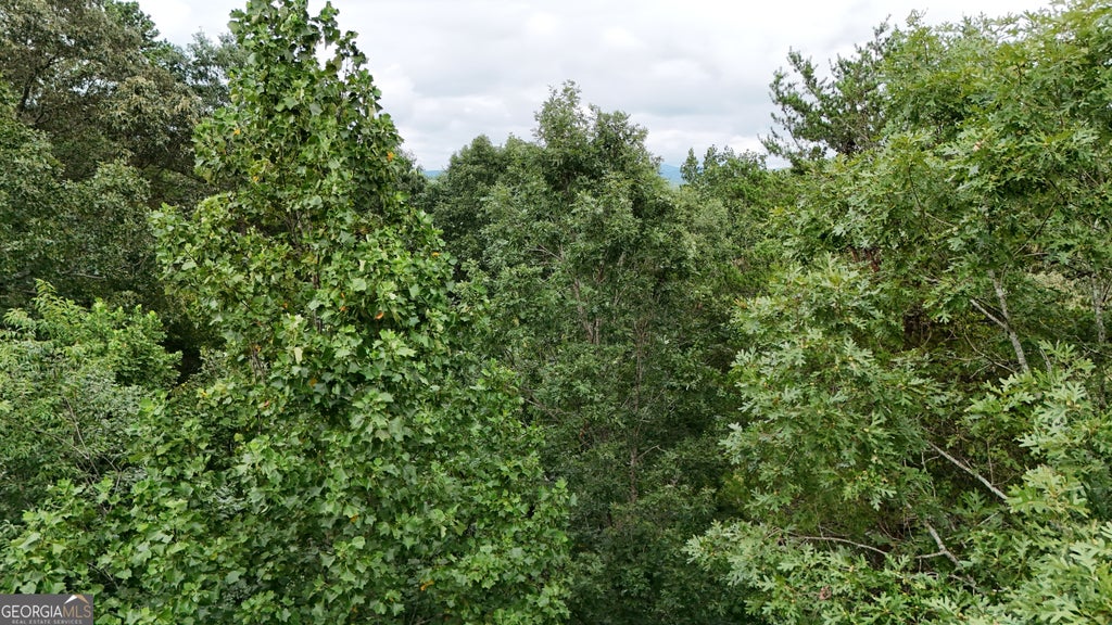 Photo of 16 Morris Trail, Cleveland, GA 30528 (MLS # 10843148)