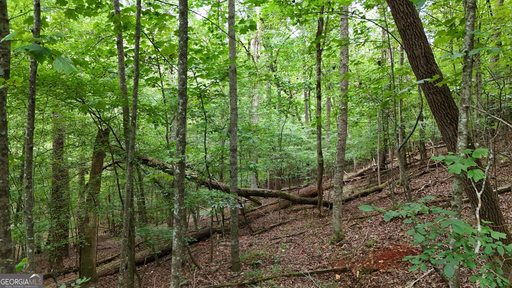 Photo of 16 Morris Trail, Cleveland, GA 30528 (MLS # 10843148)
