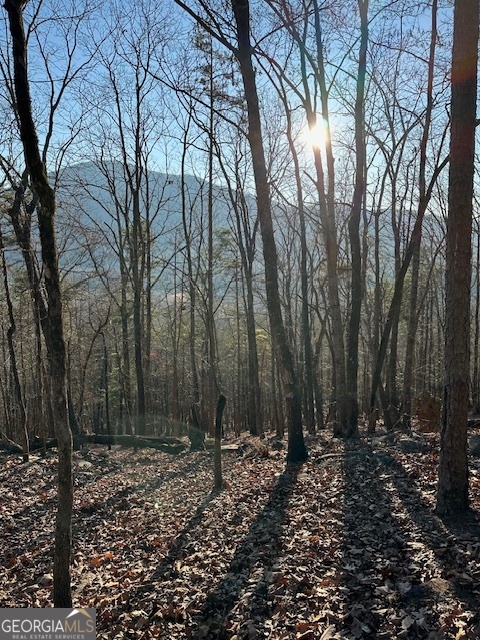 Perc Test on file ** Site evaluated and septic/build application cleared by White County ** Recorded Survey on file || SEASONAL PANORAMIC VIEW OF MOUNT YONAH || || 1.75 ACRE CUL-DE-SAC LOT || || LOW HOA DUES || || CLOSE TO VINEYARDS, HIKING, AND WATERFALLS || ** What You'll See ** Picture yourself surrounded by breathtaking seasonal VIEWS of MOUNT YONAH, framed by the rolling foothills of the North Georgia mountains. Your 1.75-acre CUL-DE-SAC LOT offers a canvas of natural beauty mature trees, open sky, and mountain ridgelines that paint a different picture every time the light changes. You'll see well-kept paved roads winding through SKY MOUNTAIN ESTATES, where every home harmonizes with nature and community pride is evident. ** What You'll Hear ** Step out onto your future porch and listen. You'll hear the stillness of the mountains, the gentle rustling of the trees, and the quiet chirping of birds. This peaceful setting is blissfully free from city noise just the calming sounds of nature. On weekends, the breeze might carry faint laughter or conversation from neighbors enjoying their mountain escapes far enough to maintain privacy, close enough to feel community. ** What You'll Feel ** Standing on your lot, you'll feel grounded and inspired. There's something about the elevation, the coolness of mountain air on your skin, and the openness of the panoramic view that stirs a sense of peace and possibility. With PAVED ACCESS and NO NEED FOR 4WD, you'll feel secure knowing your dream home is easily reachable year-round, no matter the season. ** What You'll Experience ** Experience the perfect balance of seclusion and accessibility. Located just minutes from HELEN, CLEVELAND, CLARKESVILLE, and CORNELIA, you'll be close to charming shops, local vineyards, and scenic trails ideal for weekend adventures. SKY MOUNTAIN ESTATES offers UNDERGROUND POWER, a SHARED COMMUNITY WELL, and LOW HOA DUES, ensuring your investment is both smart and scenic. Here, you'll build more than a home you'll create a mountain lifestyle.