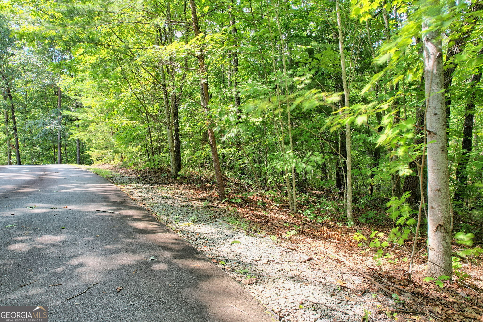 Clayton, Georgia 30525, United States, ,Land,Active,44722