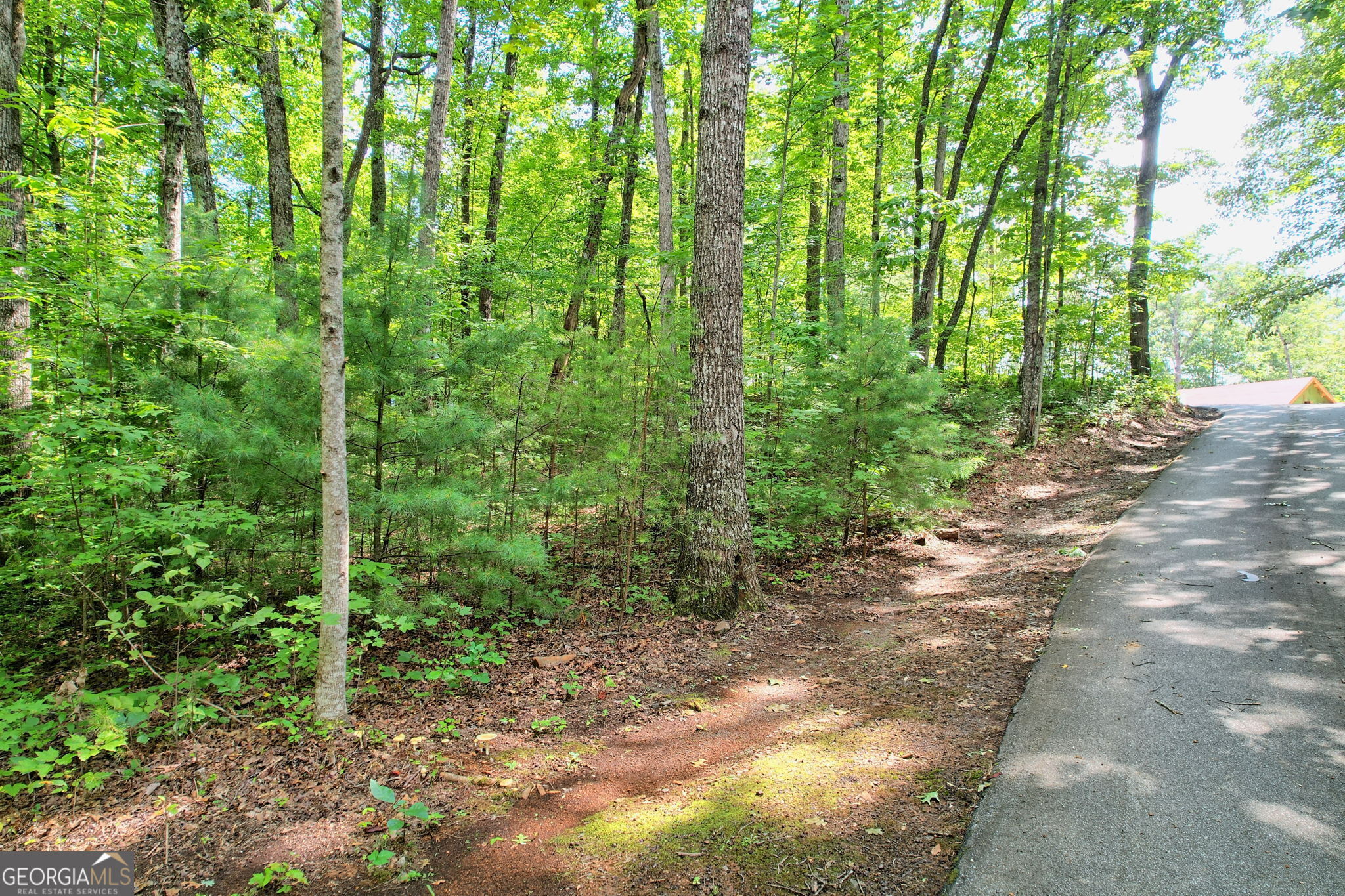 Clayton, Georgia 30525, United States, ,Land,Active,44722