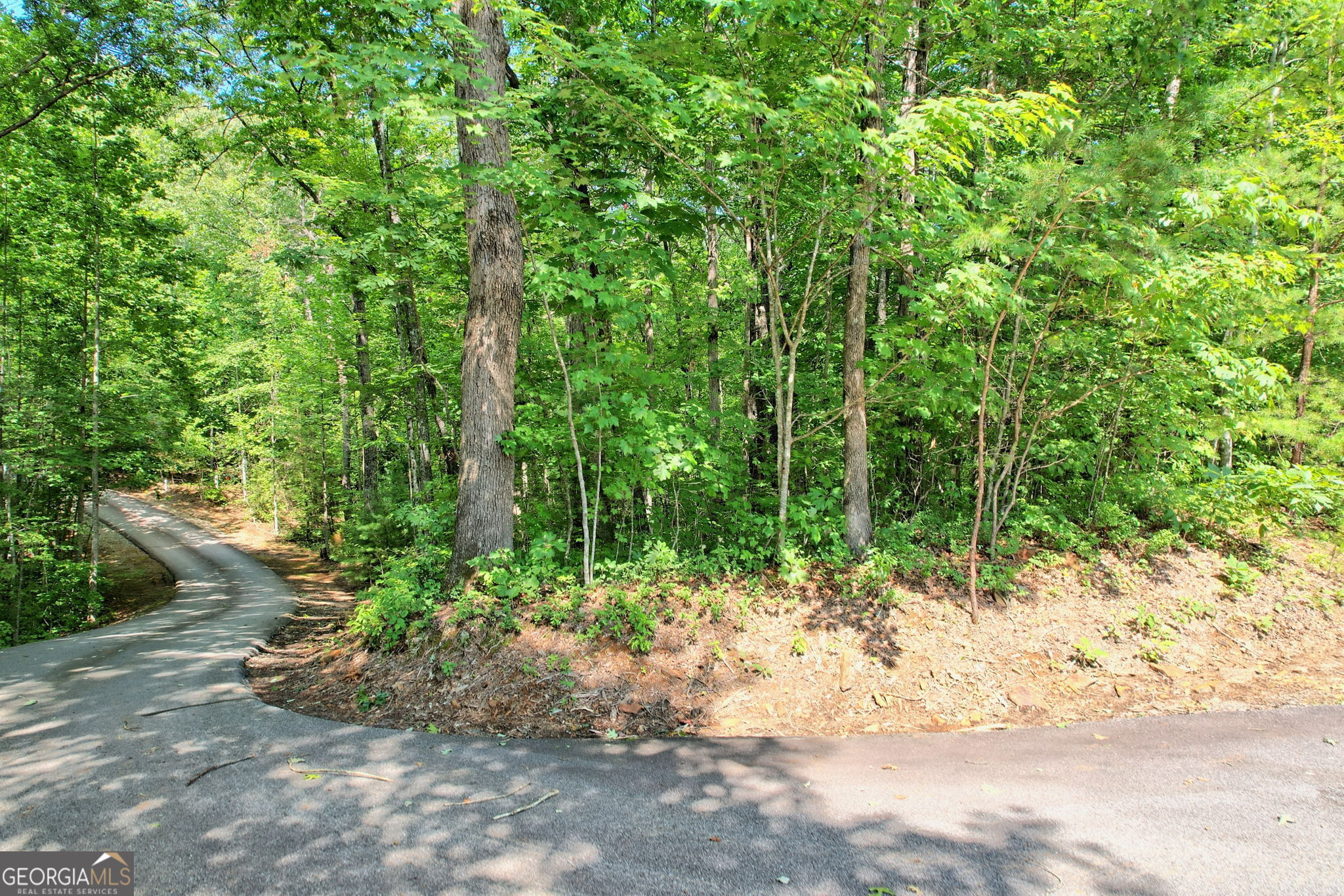 Clayton, Georgia 30525, United States, ,Land,Active,44722