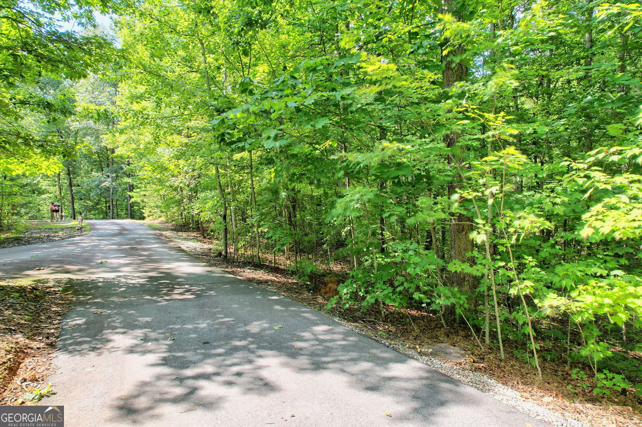 Clayton, Georgia 30525, United States, ,Land,Active,44722