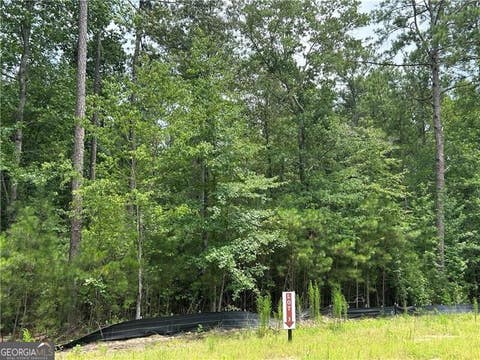 Photo of 0 Hamilton Road #3, Chattahoochee Hills, GA 30268 (MLS # 10809340)