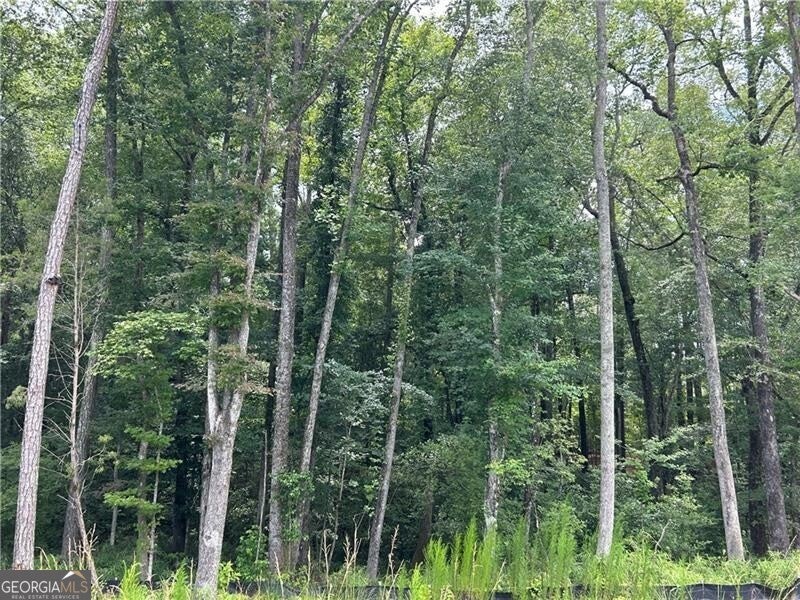 Photo of 0 Hamilton Road #3, Chattahoochee Hills, GA 30268 (MLS # 10809340)